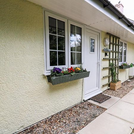 Primrose Cottage 兰德林多德威尔斯 外观 照片