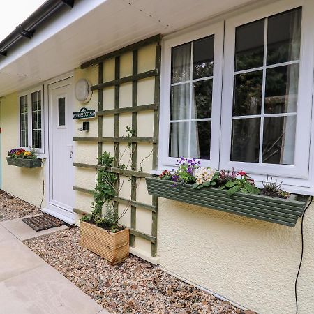 Primrose Cottage 兰德林多德威尔斯 外观 照片